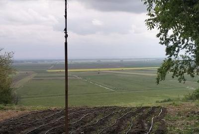 Casă cu 3 camere în Băneasa - 8