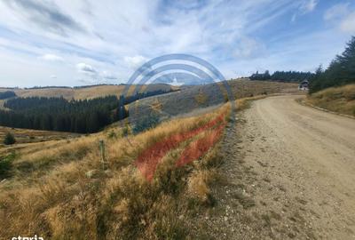 Spațiu comercial, în Central