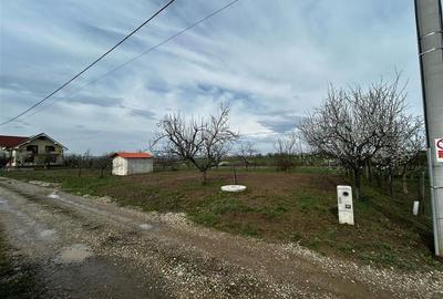 Teren Construcții intravilan de 626 mp, în Rontău