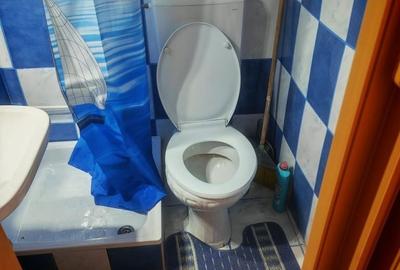 Garsonieră decomandată în Nicolae Bălcescu - 5