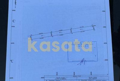 Teren de vanzare | Tunari | 10385 mp - 2