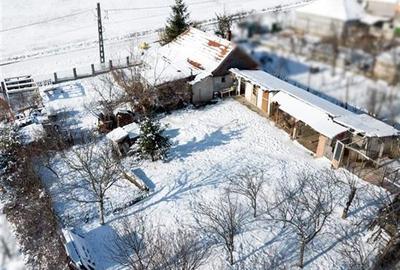 Casă individuală cu 2 camere cu Teren 1600 Mp în Cetariu - 8
