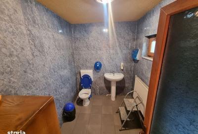 Spațiu comercial, de 181 mp, în Narciselor - 2