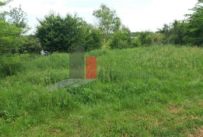 Teren Buftea cu iesire la lac Teren Buftea cu iesire la lac - 7