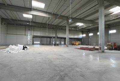 Hala clasa A / Autorizatie ISU /  Sprinklere / Show-room / Logistica /Productie - 2