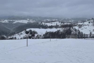 Casă cu 6 camere cu Teren 1005 Mp în Peștera - 8