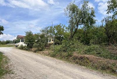 Teren de 1250 mp, în Spitalul Județean - 4