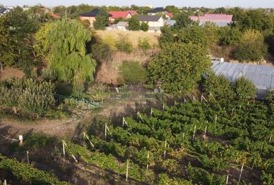Teren intravilan Tecuci/Podgorie si Pomi Fructiferi/5000 mp - 7