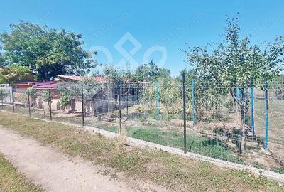 Casă cu Teren 2400 Mp în Tinca - 2