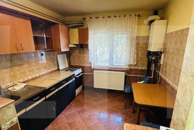 Apartament cu 2 camere decomandat în Micălaca - 4