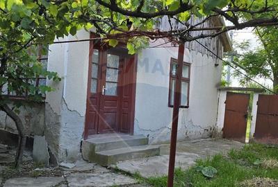 Casa  cu livada 2880 mp in Adea la 4km de Chisineu-Cris - 9