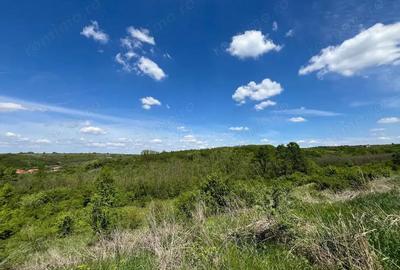 Teren de 8200 mp, în Lugoj - 2