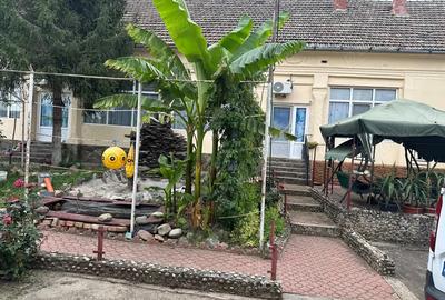 Casă cu 6 camere cu Teren 5755 Mp în Șandra - 3