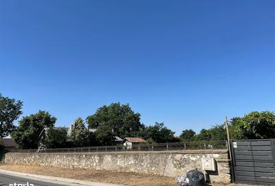 Spațiu comercial, în Lumina - 6