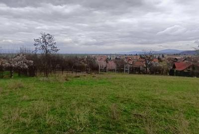 Teren Construcții intravilan de 2600 mp, în Cernatu - 4