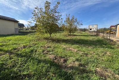 Vanzare teren de constructii intravilan, Campenesti, 1000 mp. - 3