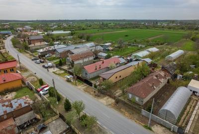 TANTAVA - GRADINARI, CASA 70 MP, LOT - 1557 MP! - 29