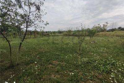 Casă cu 5 camere cu Teren 1550 Mp în Suplacu de Barcău - 5
