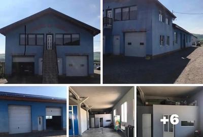 Ofer spre inchiriere servis autorizat rar . - 3