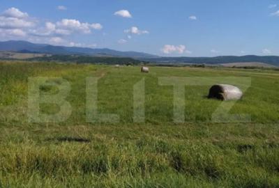 Teren de 18300 mp, în Central - 5