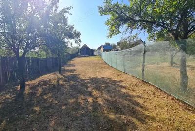 Teren Balotesti, suprafata = 908 mp Teren Balotesti, suprafata = 908 mp - 3