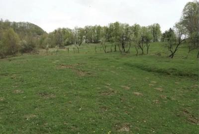 Teren în Buștenari - 1