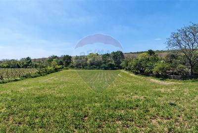 Tere cu constructie de vanzare in Urlati - 4