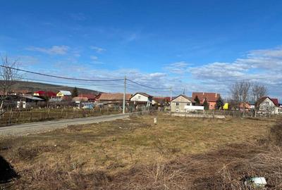 Teren de 1000 mp, în Exterior Vest - 6