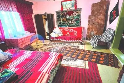 Casă cu 3 camere cu Teren 3302 Mp în Telec - 3