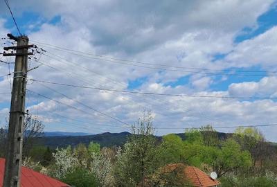 Casă cu Teren 2671 Mp în Plai - 9