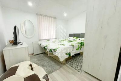 Apartament cu 2 camere semidecomandat, mobilat în Iosefin - 1