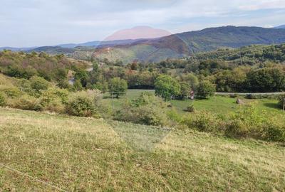 Teren constructii si faneata/livada 3082 mp Damis Bratca drum DJ 764D - 1