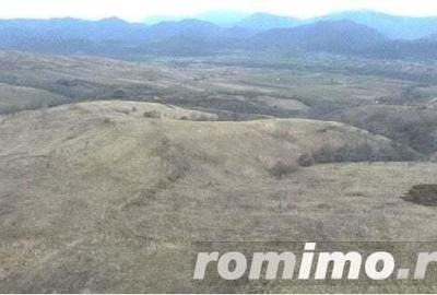 Cota 1/4 teren extravilan Dalboset, jud. Caras Severin - termen 14.08 - 1