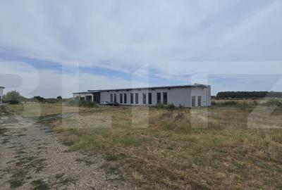 Proprietate comerciala, teren 15.923 mp, 2 hale construite, zona Carcea