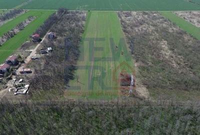 Teren de vanzare, Sabareni - 5