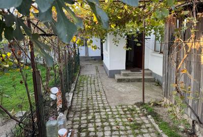 Casa Str. Fragilor, Brestei - teren 228 mp