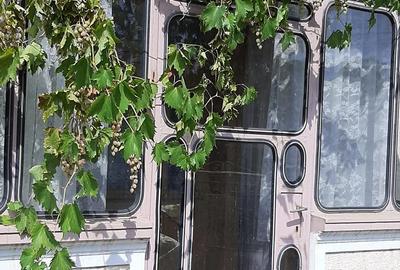 Casă cu 3 camere cu Teren 856 Mp în Socetu - 3