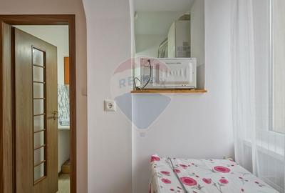 Apartament cu 1 camere de inchiriat in zona Bartolomeu - 10