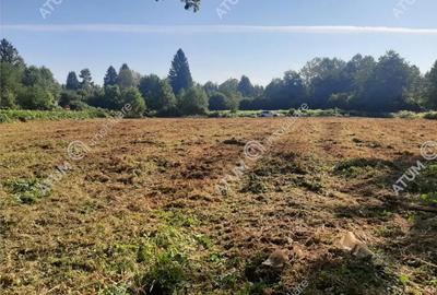 Teren de 1925 mp, în Avrig - 5