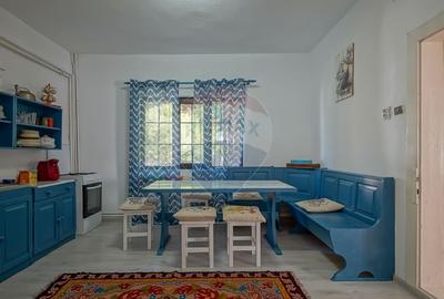 Casa / Vila cu 6 camere, in inima naturii, comision zero pt cumparator - 15