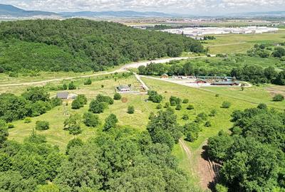 Teren Construcții intravilan de 5500 mp, în Cristian - 26