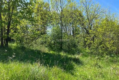 Lugoj Teren 5.300 Mp., Dealul Viilor, Priveliste Impresionanta - 4