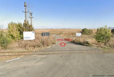 Teren de 20600 mp, în Cicir - 4