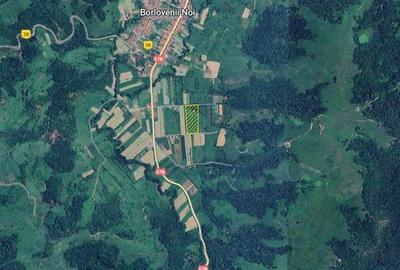 Teren agricol extravilan de 16000 mp, în Borlovenii Noi - 7