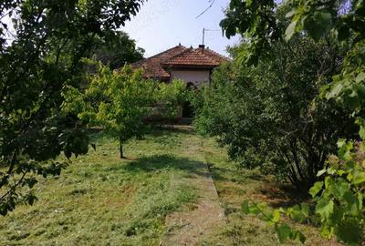 Casă cu 4 camere în Moara Vlăsiei - 5