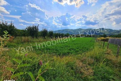 Teren de 2619 mp, în Corbeni - 7