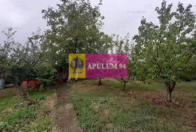 Casă cu 2 camere cu Teren 1067 Mp în Clinceni - 4