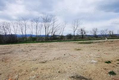 Teren de 26500 mp, în Calea Caransebeșului - 10