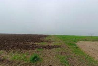 Teren de 15000 mp, în Limanu - 8