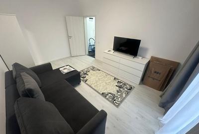 GARSONIERA STEJARULUI, BLOC NOU, CENTRALA, LOC PARCARE, PET-FRIENDLY - 1